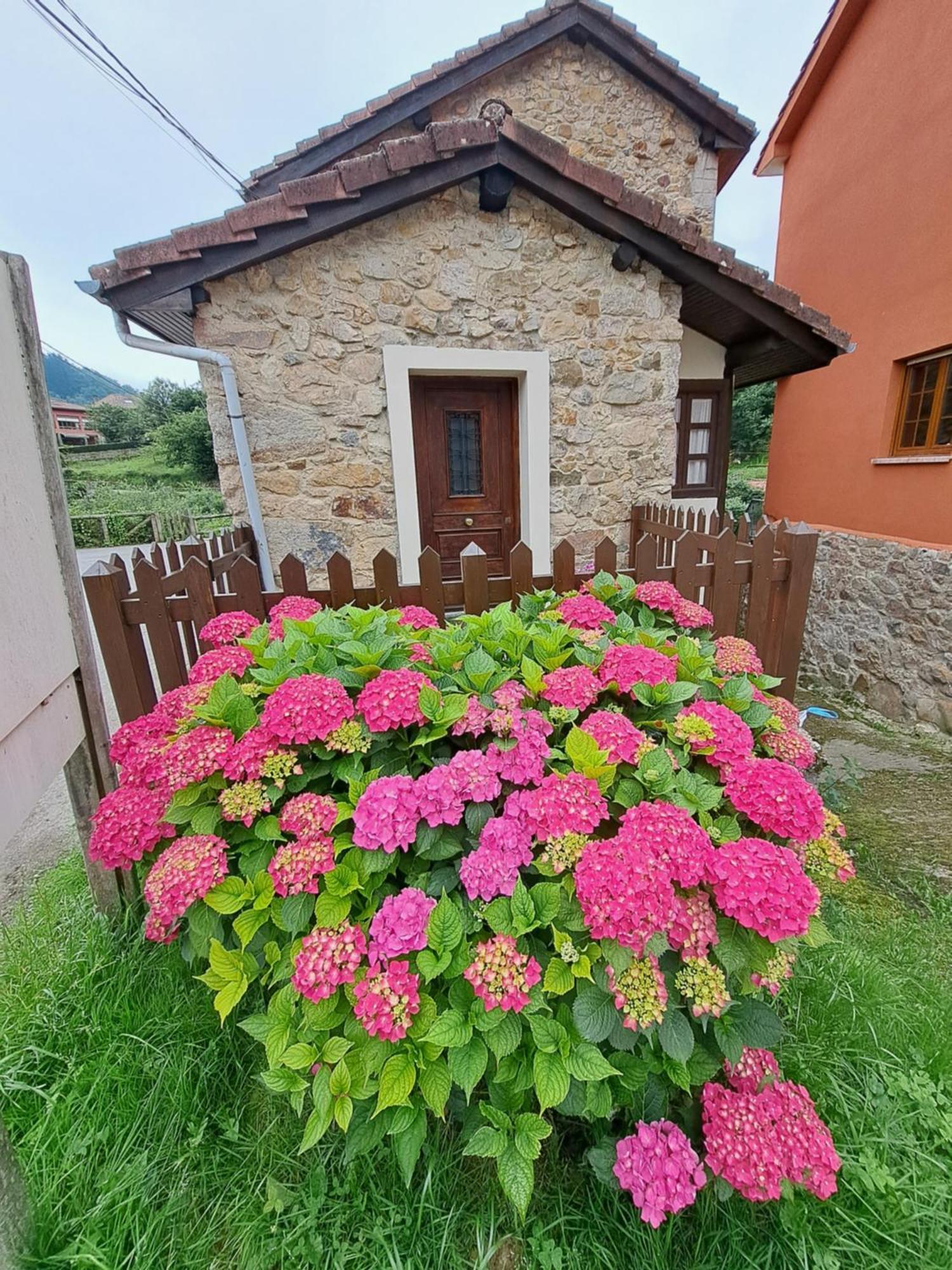 Casa Rural El Puente De Agues Soto De Agues Buitenkant foto